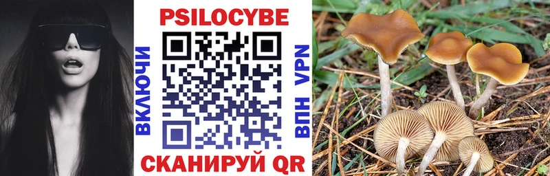 мориарти как зайти  omg ССЫЛКА  Галлюциногенные грибы Psilocybe  Углич  хочу наркоту 