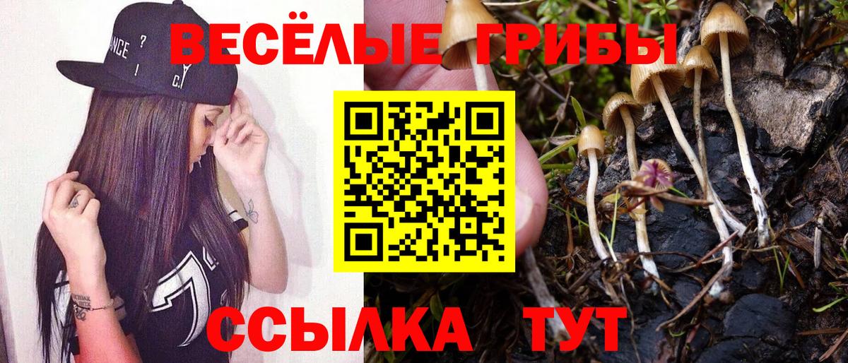Псилоцибиновые грибы прущие грибы  Псилоцибиновые грибы Magic Shrooms  Вход с VPN  Углич 