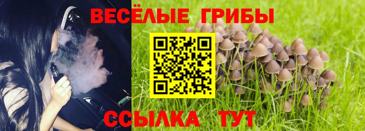 Псилоцибиновые грибы прущие грибы Углич